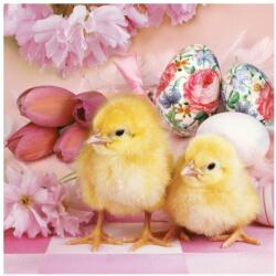  Húsvét Lovely Chickens szalvéta 20 db-os 33x33 cm (PKK029750) - sandori