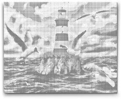  PontPöttyöző - Fehér-piros világítótorony sirályokkal Méret: 40x50cm, Keretezés: Műanyagtáblával, Szín: Fekete