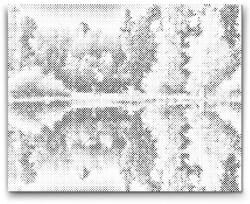  PontPöttyöző - Szarvas az erdőben Méret: 30x40cm, Keretezés: Keret nélkül (csak a vászon), Szín: Fekete