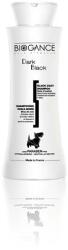 BIOGANCE Dark Black sampon 250 ml (fekete és sötét szőrre)