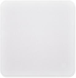 Apple Polishing Cloth (MW693ZM/A)