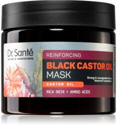 Dr. Santé Black Castor Oil mască hidratantă pentru păr 300 ml