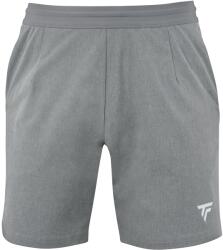 Tecnifibre Club Short Silver Férfirövidnadrág M