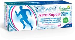 NATURALIS ArtroSuport RECE gel, 100 g, Naturalis - springfarma