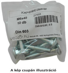  Șurub balama ușă DIN 603, 4.8 galvanizat, M8x70 (10 buc) (ZIP349)