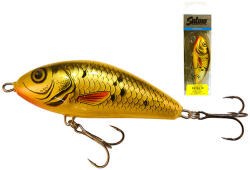 Salmo Fatso F10F GBA 10cm 48gr Wobbler (845501GB)