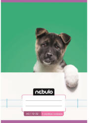 Nebulo Füzet, A5, 3. osztályos vonalas, 12-32, Cuki minták, 16 db/csomag Nebulo (55815) - irodaszerpiac