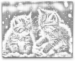  PontPöttyöző - Kiscicák a hóban Méret: 30x40cm, Keretezés: Műanyagtáblával, Szín: Fekete