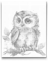  PontPöttyöző - Bagoly nagy szemekkel Méret: 40x50cm, Keretezés: Műanyagtáblával, Szín: Fekete