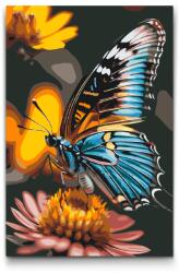  Festés számok szerint - Pillangó a virágon Méret: 40x60cm, Keretezés: Műanyagtáblával