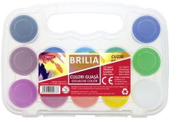 DACO Culori guasa 12 culori, 20 ml/recipient, Brilia Daco (CU220)