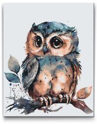  Festés számok szerint - Bagoly nagy szemekkel Méret: 30x40cm, Keretezés: Kartonlemezen