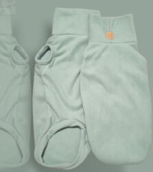  Zsálya tacsipulcsi (HR198179)