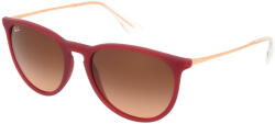 Ray-Ban Erika RB4171 6815A5