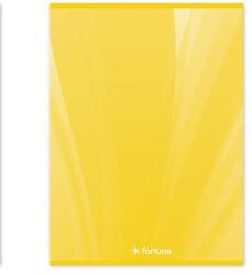 Fortuna Basic A/4 32 lapos franciakockás füzet