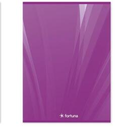 Fortuna Basic A/4 32 lapos hangjegyfüzet