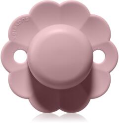 Suavinex Wonder SX Pro Physiological 6-18 m cumi Pale Mauve