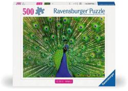 Ravensburger 500 db-os puzzle - Páva (12001332) (12001332)