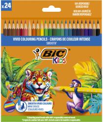 BIC Evolution Smooth fa színes ceruzák, különböző színekben, 24 darabos csomag