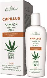 Cannaderm Capillus Seborea CBD+ sampon 150 ml