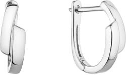 Evolution Group 61019 (AG 925/1000, 2 g)