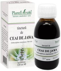 PlantExtrakt Tinctura de Ceai de Jawa, 120 ml, Plant Extrakt