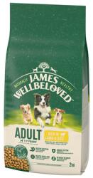 James Wellbeloved Adult 2 kg bárányhúsban és rizsben gazdag teljes értékű szárazeledel 1-7 éves felnőtt kutyáknak