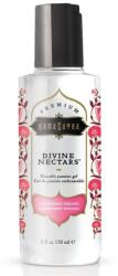 Kamasutra Cosmetics Kamasutra Divine Nektárok Síkosító Eper álom 150 Ml (d-228009)