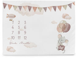 CEBA BABY Fotózáshoz mérföldkő alátét (92x72) Basic Mouse