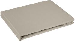 Takoy Cearceaf DINA DIVA LINE 180x210 cm din bumbac satinat fără elastic-HF-428542