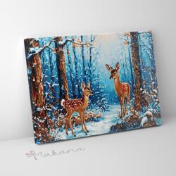 Makana Őzek a télben - Számfestő készlet, kerettel (40x50 cm)