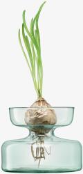 LSA International Váza/üveg ültető, 10 cm magas, átlátszó - LSA International