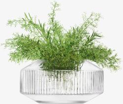 LSA International Széles Rotunda váza, h 14 cm, átlátszó - LSA nemzetközi