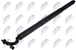 NTY Amortizor portbagaj NTY AE-SK-041 (AE-SK-041)