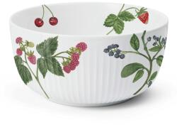 Kähler Bol de servit HAMMERSHOI SUMMER - SUMMER BERRIES 21 cm, alb, porțelan, Kähler (KHL693336) Castron
