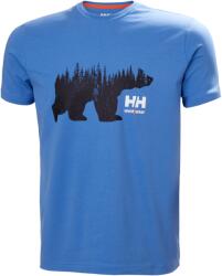 Helly Hansen HH WW Graphic póló (79261558s)