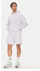 Champion férfi kapucnis pulóver, 221176, pamut/poliészter, L INTL, lila (0000305355256_L)