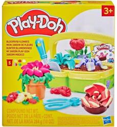 Hasbro Play-Doh: set de joacă grădină cu flori (G0492)