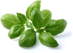 Click & Grow - Bazsalikom (SGBA)