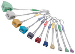 DMM Wallnut 1-11 Assorted Цвят: смес от цветове