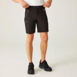 REGATTA Xert StrShort III férfi technikai short 2XS fekete