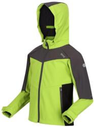 Regatta Eastcott II Gyerek sofshell 2 - 4 EVES szürke|zöld