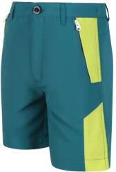 REGATTA Sorcer MountShtII gyerek technikai short kék