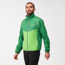 REGATTA Steren Hybrid Férfi softshell kabát, mellény M zöld