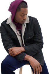 GAP V-sherpa Denim (736375-00)