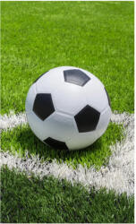  Focis Corner kéztörlő, arctörlő, törölköző 30x50 cm