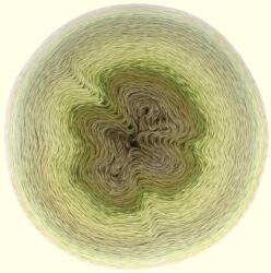 Scheepjes Mega Whirl - 401 Moodychrome