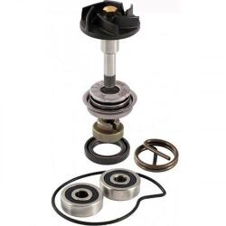RMS Kit pompa apa Piaggio Beverly 250 06-07 (100110210RM)