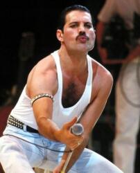 NORIMPEX - Puzzle Pictura cu diamant: Freddie Mercury 30x40 cm - 1 - 39 piese