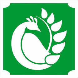  5x5 cm-es Csillámtetoválás sablon - Páva 261